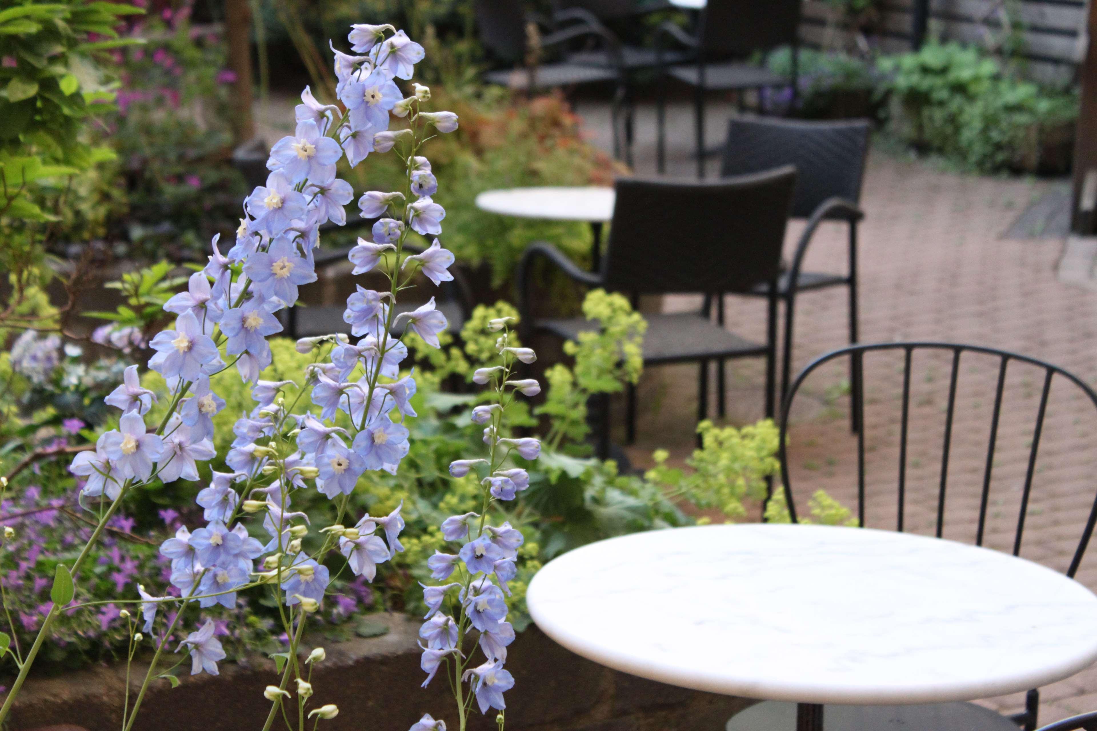 Best Western Hotell Ljungby Ljungby  Kültér fotó